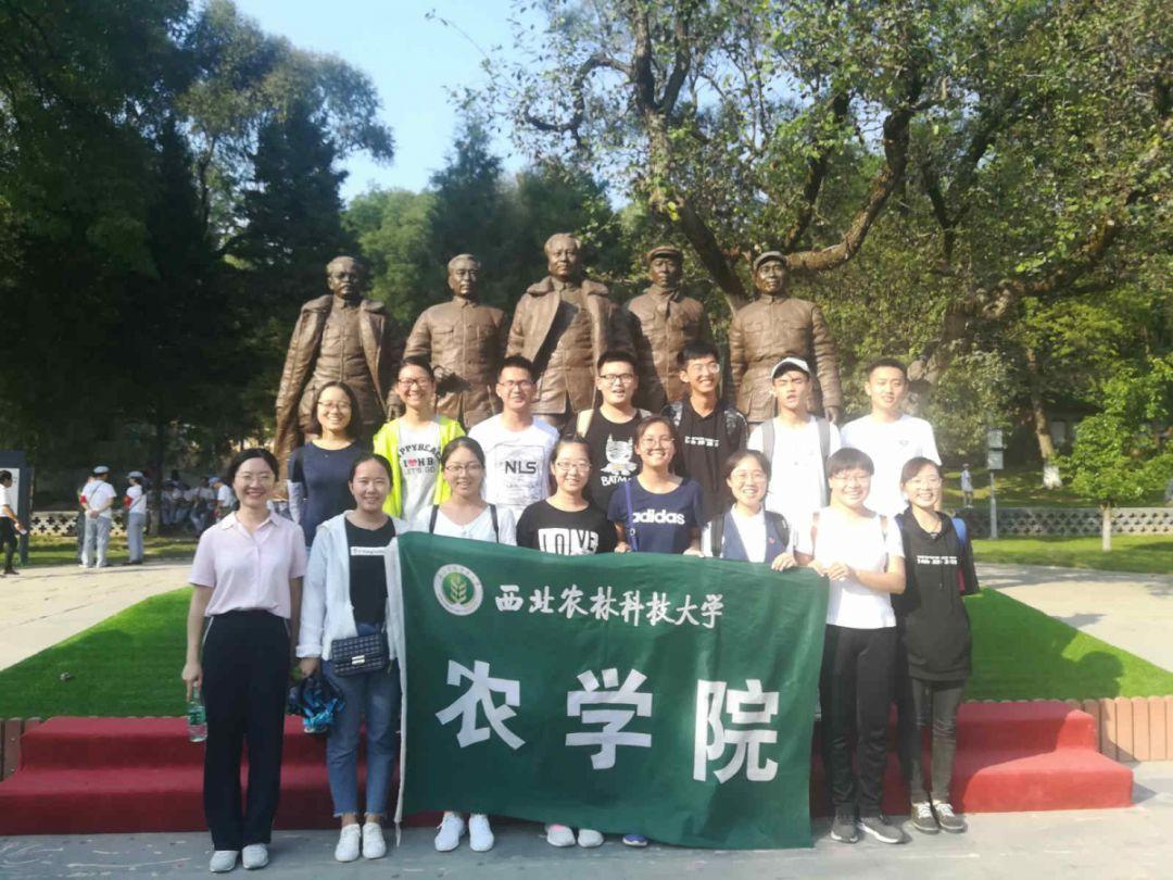 保卫我们的家园